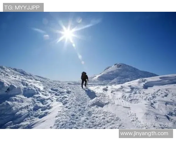 张帆的成长之路：从普通少年到职场精英的奋斗历程与人生感悟