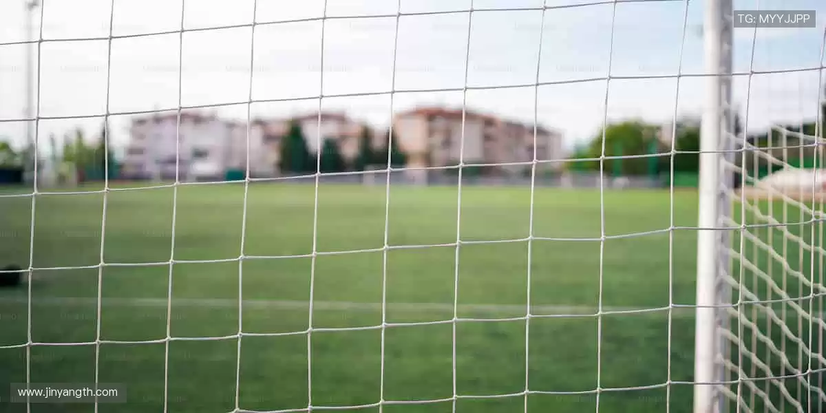 🏆冠军同款,与偶像共享荣耀时刻!